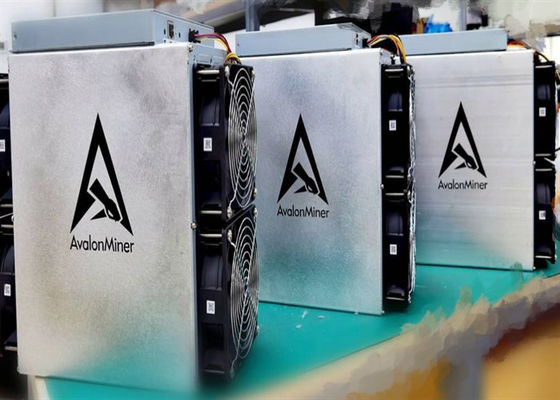 55TH/S Canaan Avalon 1066 Pro buruh tambang, Penambang Koin Crypto BTC 3300W Bekas